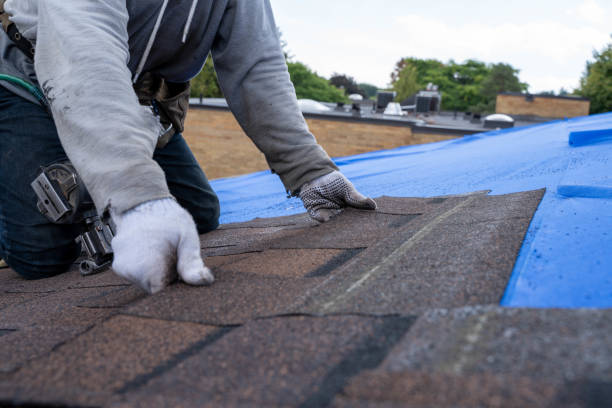 Best Roof Restoration Services  in Barboursville, WV